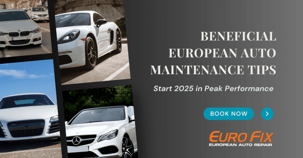 European Auto Maintenance Tips